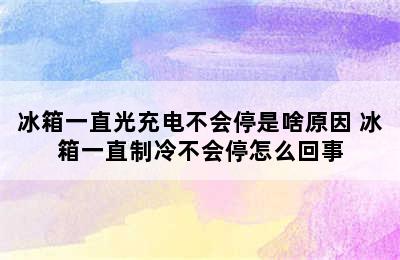 冰箱一直光充电不会停是啥原因 冰箱一直制冷不会停怎么回事